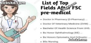 Best Courses After Intermediate for High Salary (2026 Guide)